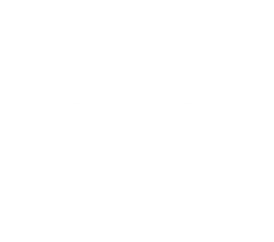 11 (1)