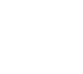 48 (1)
